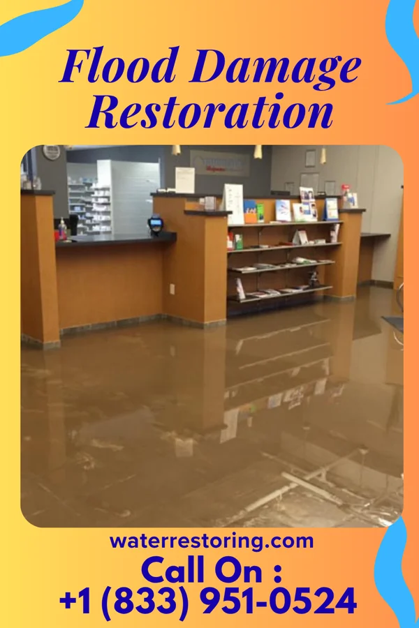 Flood Damage Restoration in Valentine, TX