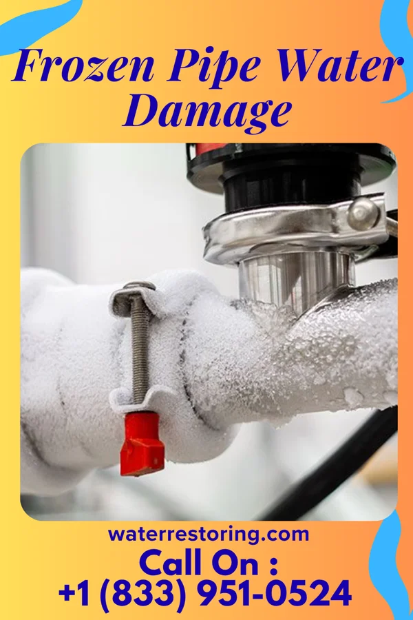 Frozen Pipe Water Damage in Valentine, TX