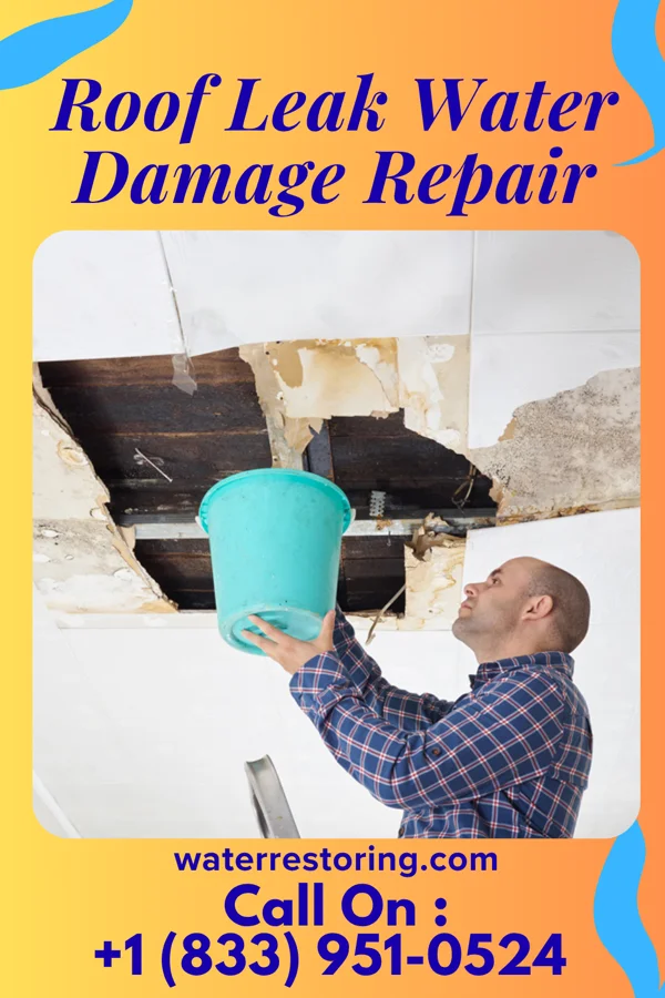 Roof Leak Water Damage Repair in Valentine, TX